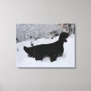 Search for blizzard canvas prints Animal