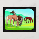 Search for wild grass postcards Horse