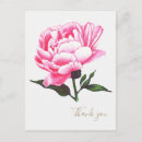 Search for flower illustration postcards Pink