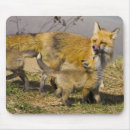 Search for breckenridge mouse mats Jaynes gallery
