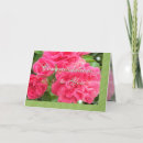 Search for wild rose Birthday