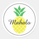 Search for hawaiian pineapple stickers Mahalo