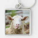 Search for herding key rings Sheep