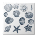 Search for ocean tiles Shells