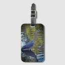 Search for closeup accessories Photography