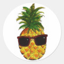 Search for tumblr stickers Fun