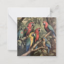 Search for parrot note cards Colourful