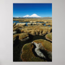Search for andres posters Andres morya hinojosa