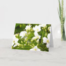 Search for may cards Flowers