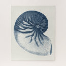 Search for shark puzzles Sealife