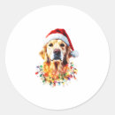 Search for golden retriever puppy stickers Wolf