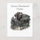 Search for german shorthaired pointers postcards Gsp