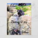 Search for monkey business postcards Monkeys