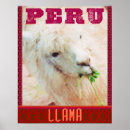 Search for llamas posters South america
