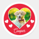 Search for animal lover stickers Heart