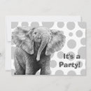 Search for african grey invitations Party