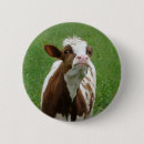 Search for dairy farm badges Animal