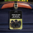 Search for monkey around accessories Chimpanzee