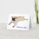 Search for love pug cards Puppies