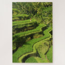 Search for rice puzzles Travel
