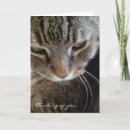 Search for funny thinking of you cards Kitty