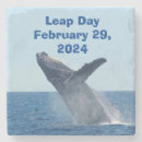 Search for leap coasters February 29