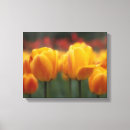 Search for horticulture art Botany