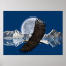 Search for alaska eagle art Bald eagles