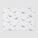 Search for dinosaur tissue paper Fun