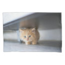 Search for fluffy pillowcases Cute baby animal