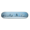 Search for winter skateboards Photography