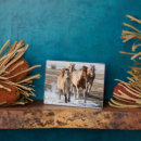 Search for horse plaques Herd