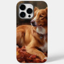 Search for ducks iphone cases Pet