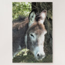 Search for donkey puzzles Cute