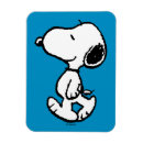 Search for classical magnets Dog