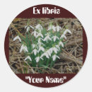 Search for hornet stickers Insect