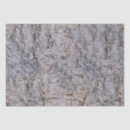 Search for tree bark tissue paper Forest
