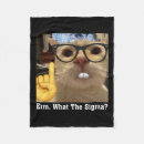 Search for cute kittens blankets Cat lover
