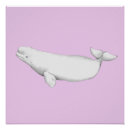 Search for beluga whale posters Nature