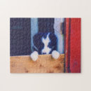 Search for cute border collie puzzles Pet