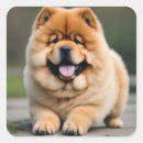 Search for chow chow stickers Pets