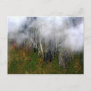 Search for andes postcards Latin america