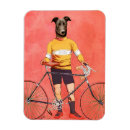 Search for greyhound magnets Contemporary