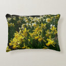 Search for daffodil cushions White