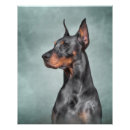 Search for happy dog posters Paws