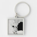 Search for antarctica key rings Landscape