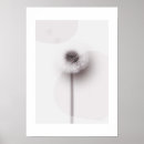 Search for dandelion art Elegant