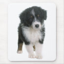 Search for aussie mouse mats Dogs