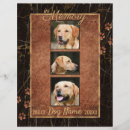 Search for rainbow bridge poem for dogs For pets