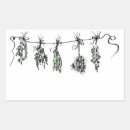 Search for garden herbs stickers Dill